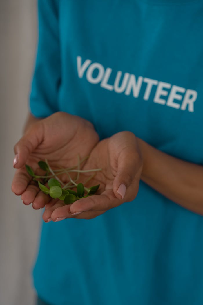 Close-up of hands holding sprouts, promoting volunteerism and environmental conservation.